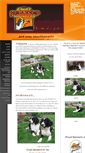 Mobile Screenshot of hilltopspringers.com
